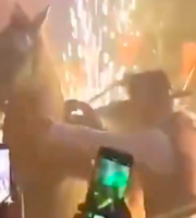 IDPYBA anuncia acciones de inspección y vigilancia  tras denuncia de presunto maltrato de un caballo en bar del centro de Bogotá